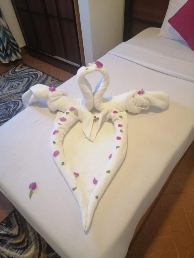 Dolphin Hotel El Qoseir Экстерьер фото